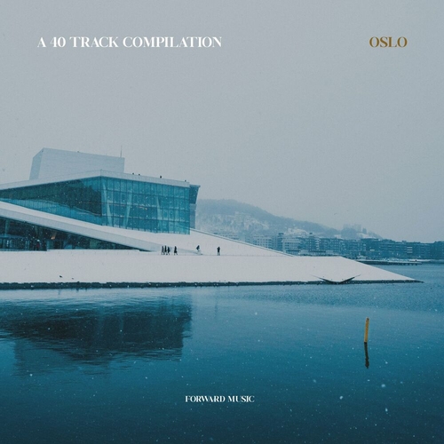 VA - A 40 Track Compilation Oslo [FM054LP]